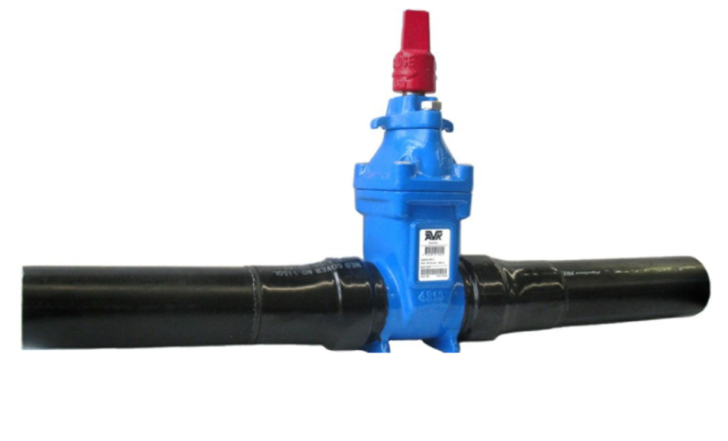 Series 36-81-001 - red cap